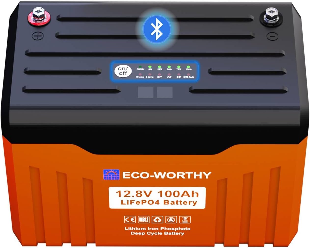 ECO-WORTHY 12V 100Ah LiFePO4 Bluetooth Display
