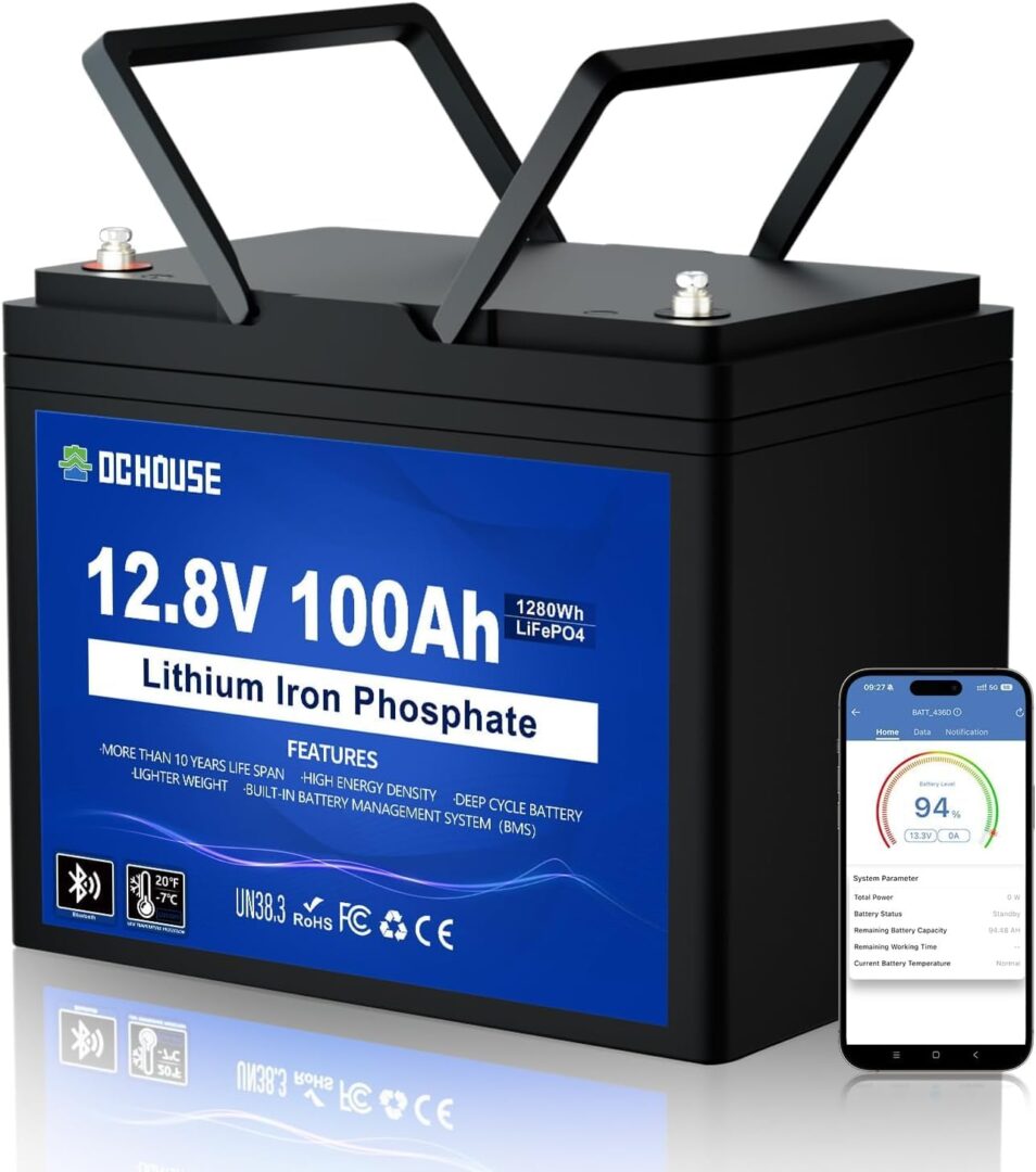 DCHOUSE 12V 100Ah LiFePO4